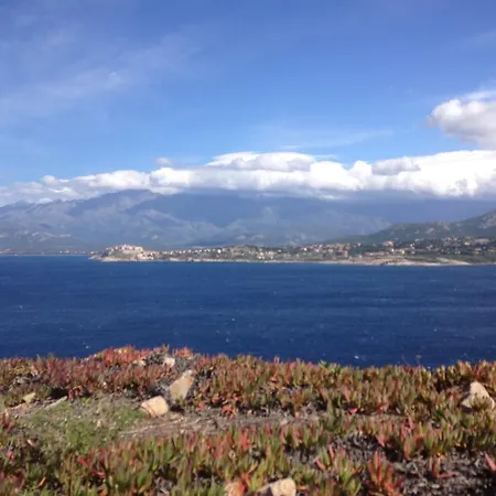 Lägenhetshotell Calvi Appart Hotel 4*