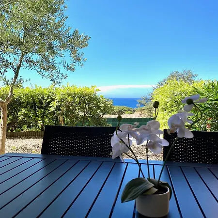 Calvi Appart Hotel Καλβί