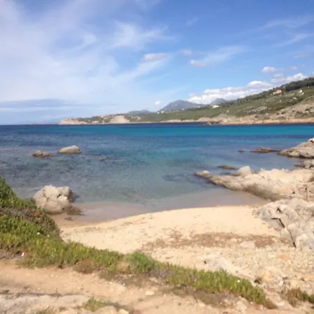 Calvi
