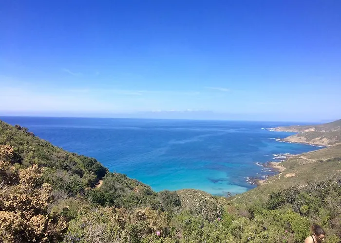 Апарт-отель Calvi Appart Hotel Кальви